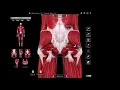 Download Lagu Gluteus medius - bilklachten