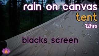 Black Screen Sleeping in Canvas Tent Rain on Canvas Tent - No Thunder Sleep Rain Sounds
