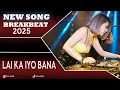 Lagu DJ LAI KA IYO BANA FAUZANA BREAKBEAT 2025 [ DOL FUNK ]
