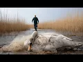 Download Lagu POV over de wetlands: de redding van een gevangen zwaan