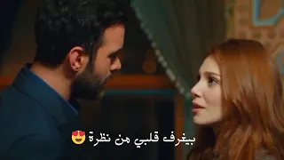 بيغرف قلبي من نظرة عمر ديمة 