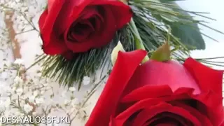 علي دولة مابي عوفن هلي 