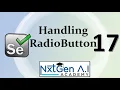 Selenium Tutorials for Beginners 17 How to Handle Radio Button