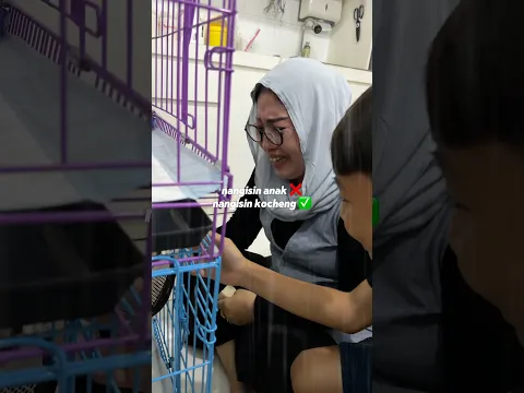 Nangisin anak❌ Nangisin kocheng✅ #ngeshortsbareng