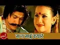 Lagu Ma Ta Marchhu Kyare - Jagdish Samal | Nim Sangeet | Sanjaya Kachyapati \u0026 Sudita | Nepali Song
