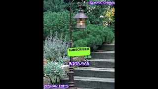 Https Www Tiktok Com Insta Man74 T ZS 90qhDxuJJpa R 1 