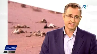 ghidigital ce nseamn i cum func ioneaz tehnologia digital 