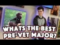CHOOSING A PRE-VET MAJOR How to get into Veterinary School Episode 3