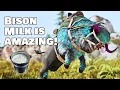 6 Amazing FACTS about Bison Milk - Ark Survival Ascended