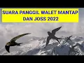 Download Lagu suara panggil walet mantap dan joss 2022