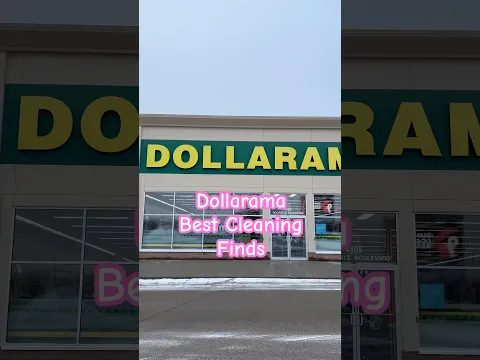 Run to Dollarama GIRL! #aesthetic #asmr #asmrsounds #cleaning #find #brush #pets