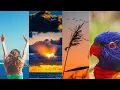 Bootstrap Image Gallery