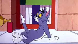 Tom And Jerry Cartoon Episode 134 Ah Sweet Mouse Story Of Life 1965 Cartoons For Kids 