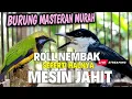 Lagu GURU VOKAL HANDAL - MASTERAN ROLL TEMBAK MESIN JAHIT - JINGJING PETUAK Kombinasi CUNGKOK KUNTILANAK
