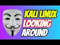 Kali Linux Essentials Mastering Navigation Must-Know Commands