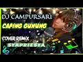 Download Lagu DJ CAPING GUNUNG  JARANAN‼️COVER REMIX SYAPRIESYA