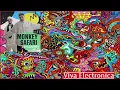 Monkey Safari - Hi & Low (Original Mix) [Get Physical Music]