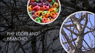 PHP Loops and Branches