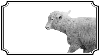 迷々 / カラスヤサボウ (Cover) めいちゃん