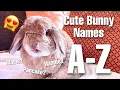 A BUNCH of cute bunny names I found so you don t have too A-Z
