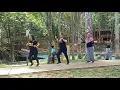 goyang pargoy pertemuan tik tok / zumba