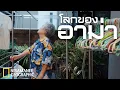 Download Lagu ตามติดชีวิต “อาม่า”