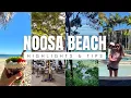 NOOSA BEACH VLOG Best places to eat Hastings St coastal walk Emundi Mantra French Quarter
