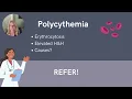 NP Exam Prep Understanding CBC White Blood Cells Red Blood Cells and Platelets