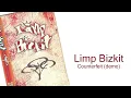 Limp Bizkit - Counterfeit (DEMO) - Digitaly Remastered