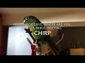Guide to Green Cheek Conure Behavior