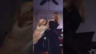 When Mama Dances It S A Party Dogs Dogschallenge 