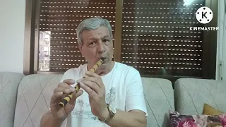 تقاسيم بيات اللا  اغنية لهجر قصرك   عزف ناي المهندس مصطفى سكيكر دندنها