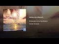 Alone on a Beach - R!elaxation A!nd M!editation