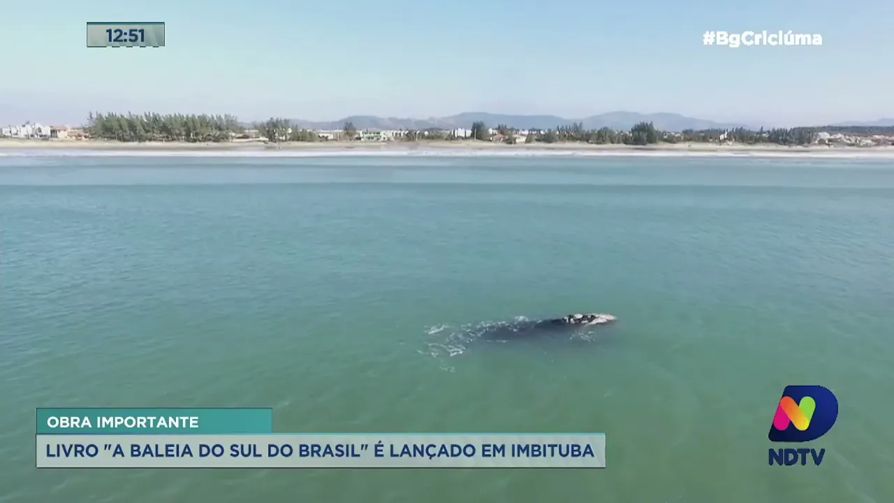 Livro "A Baleia do Sul do Brasil" é lançado em Imbituba