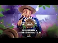 Download Lagu Chiquito \u0026 Bordoneio - Enforquilhado / Assim São Meus Cavalos - Do Campo Para a Cidade Ao Vivo