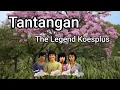 Download Lagu Tantangan, #Tembangsuperjadul, The Legend Koesplus