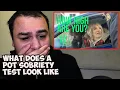 What does a pot sobriety test look like SATIRE - This Hour Has 22 Minutes REACTION