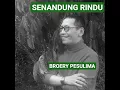 Download Lagu SENANDUNG RINDU || BROERY PESULIMA #broerypesulima #quotes #shortvideo #fypviralシ #fypシ゚viral
