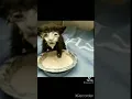 Download Lagu Kucing Lucu Tino Tino Riko Suki Viral 🤣🤣🐈🐈