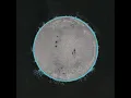 Vibe Killer - Endless Boogie
