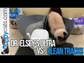 Dr Elsey s Ultra vs Dr Elsey s Clean Tracks Cat Litter