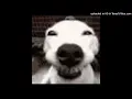 jaydes - entry log sped up 8d reverb