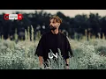 Welshly Arms - Shelter (Lyrics)