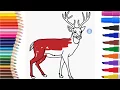 How to draw the colorful deer Coloring Pages for children Art Colors for Kids