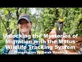 Unlocking the Mysteries of Migration with the Motus Wildlife Tracking System