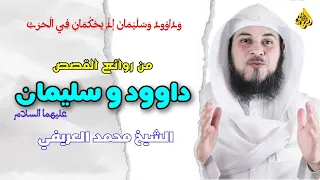 البث المباشر روائع القصص داود و سليمان عليهما السلام 