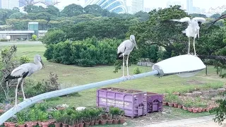                                                  دندنها