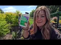 How to use Bonide Stump Vine Killer