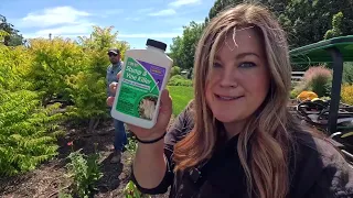 How to use Bonide Stump Vine Killer