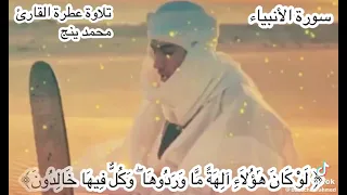 القارئ محمد ينج 